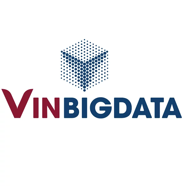 VinBigData